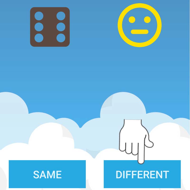 Step 1: Same or Different Instruction